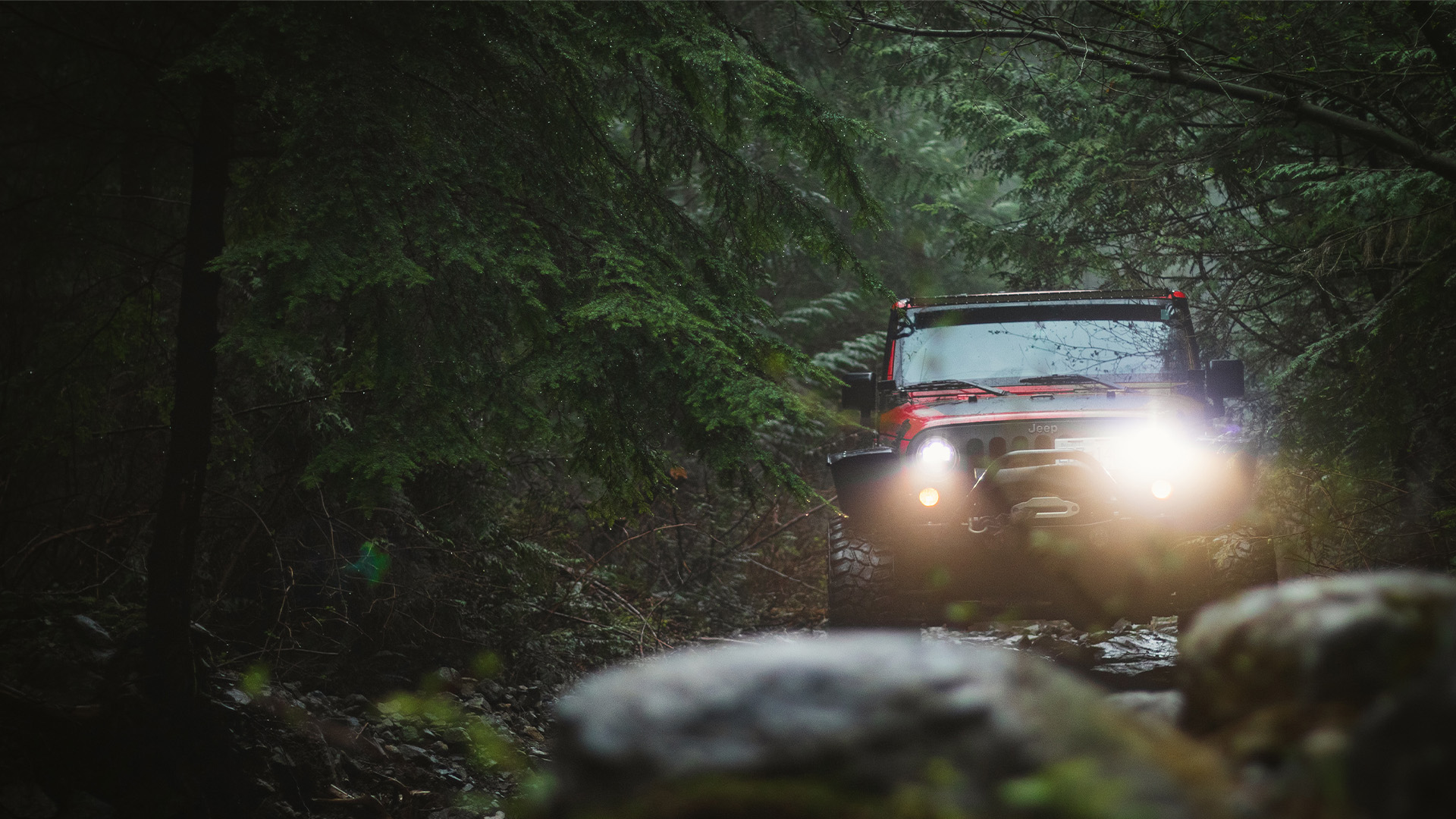 a Jeep driving through a forest